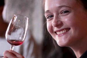 Porto: Tour a piedi con degustazione di vini e tapas