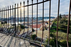 Porto Rundgang durch das Stadtzentrum in Kleingruppen
