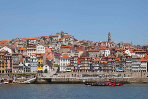 Porto Walking Tour of the city centre in small-groups