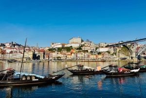Porto Walking Tour of the city centre in small-groups