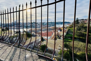 Porto Walking Tour of the city centre in small-groups