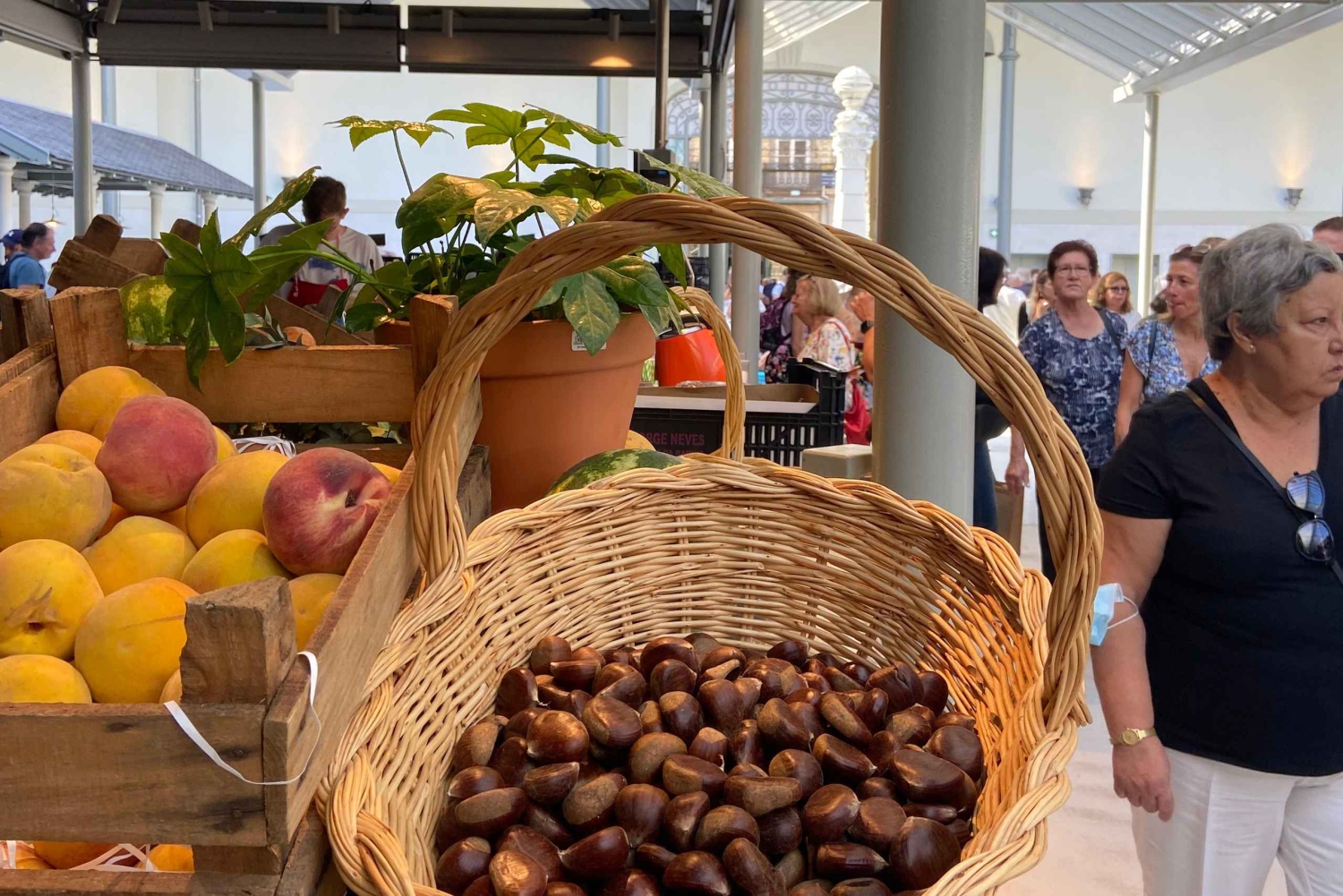 証券取引所宮殿のプライベート訪問付きポルト ウォーキング ツアー