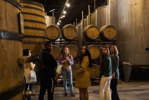 Porto: Excursão a pé para degustação de alimentos e vinhos com a Cave do Vinho do Porto