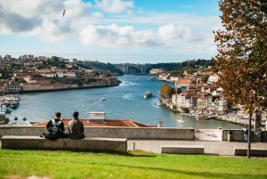 Porto: Wine Tasting with Tapas Walking Tour