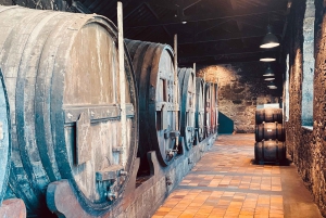 Porto wine tour - exquisite and private to Burmester Cellars