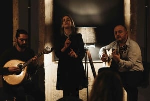 Porto: Wine Tour & One Hour Fado Show | All Included