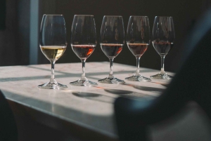 Porto: workshop e degustazioni alla WOW Wine School