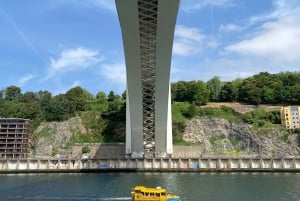 La fantastica avventura anfibia di Porto