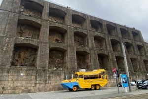 La fantastica avventura anfibia di Porto
