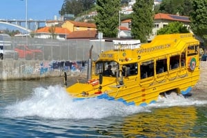 La fantastica avventura anfibia di Porto