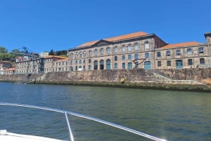 Private 6-Brücken-Kreuzfahrt in Porto mit optionalem Sonnenuntergang