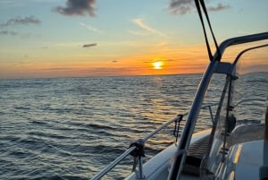 Private 6-Brücken-Kreuzfahrt in Porto mit optionalem Sonnenuntergang