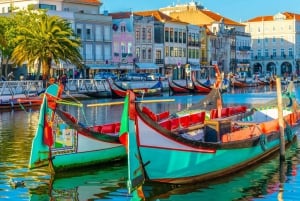 Traslado Privado - Lisboa->Porto+Obidos/Aveiro/Fatima/Nazare