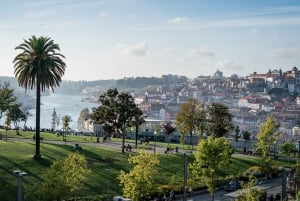 Traslado Privado - Lisboa->Porto+Obidos/Aveiro/Fatima/Nazare