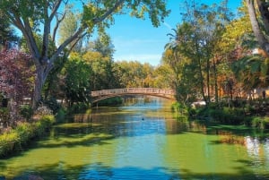 Traslado Privado - Lisboa->Porto+Obidos/Aveiro/Fatima/Nazare