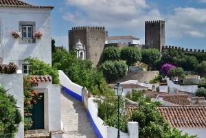 Traslado Privado - Lisboa->Porto+Obidos/Aveiro/Fatima/Nazare