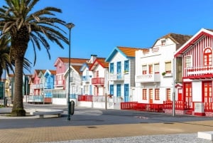 Traslado Privado - Lisboa->Porto+Obidos/Aveiro/Fatima/Nazare