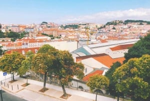 Traslado Privado - Lisboa->Porto+Obidos/Aveiro/Fatima/Nazare