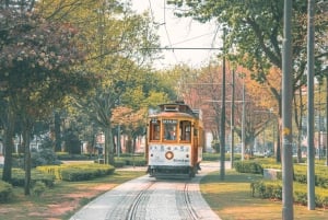 Traslado Privado - Lisboa->Porto+Obidos/Aveiro/Fatima/Nazare