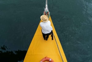 Traslado Privado - Lisboa->Porto+Obidos/Aveiro/Fatima/Nazare