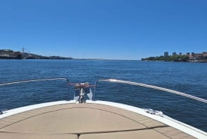 Privat bådtur i Porto med portugisisk tapas som ekstra mulighed