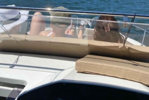 Privat bådtur i Porto med portugisisk tapas som ekstra mulighed