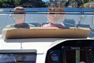 Privat bådtur i Porto med portugisisk tapas som ekstra mulighed