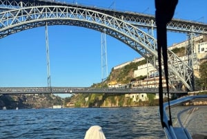 Privat bådtur i Porto med portugisisk tapas som ekstra mulighed