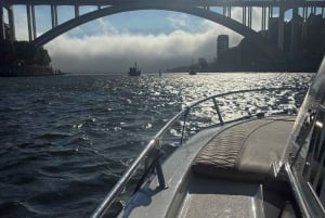 Privat bådtur i Porto med portugisisk tapas som ekstra mulighed