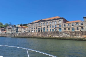 Privat bådtur i Porto med portugisisk tapas som ekstra mulighed