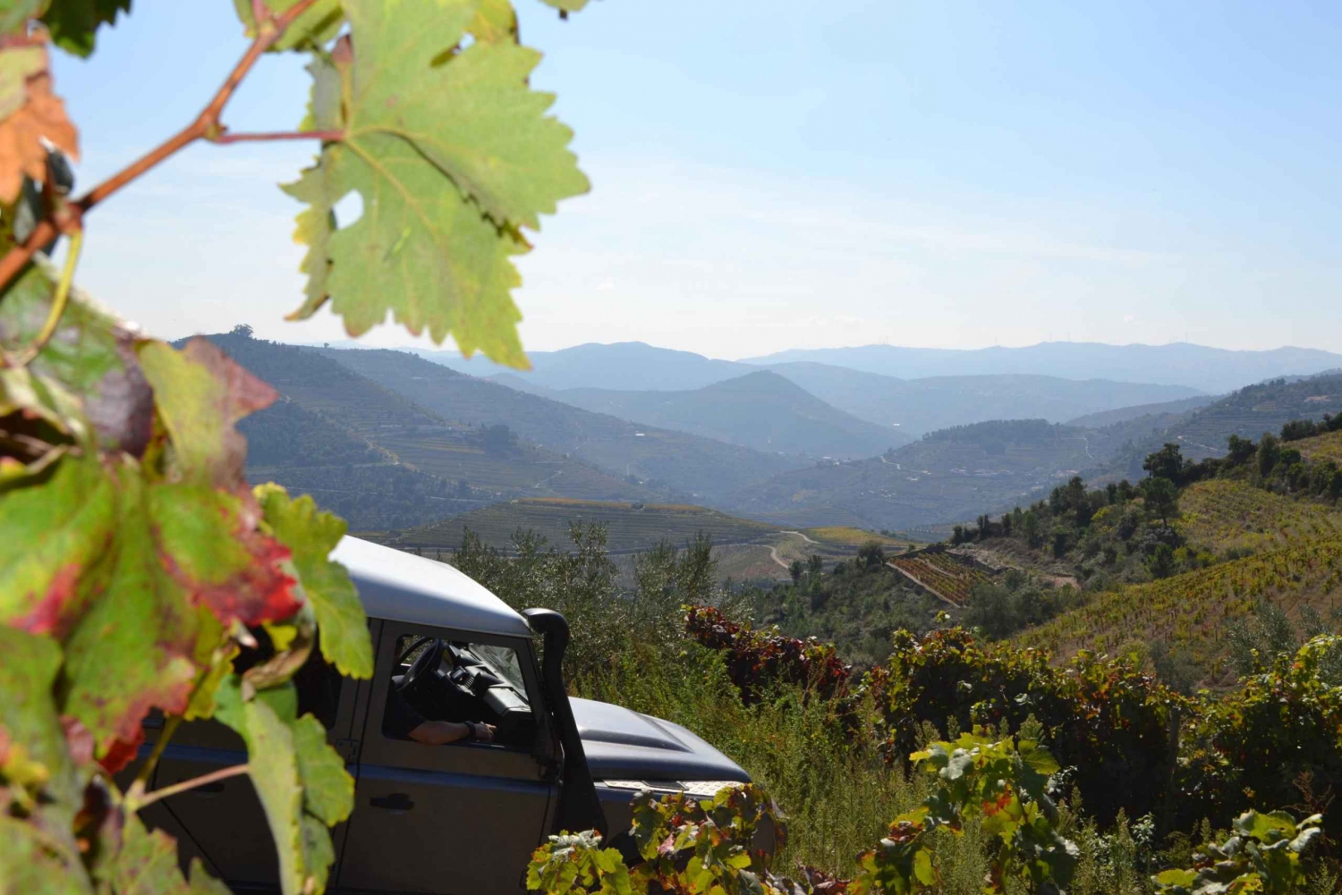 Privat Douro Valley 4WD-tur med vinprovning och picknick