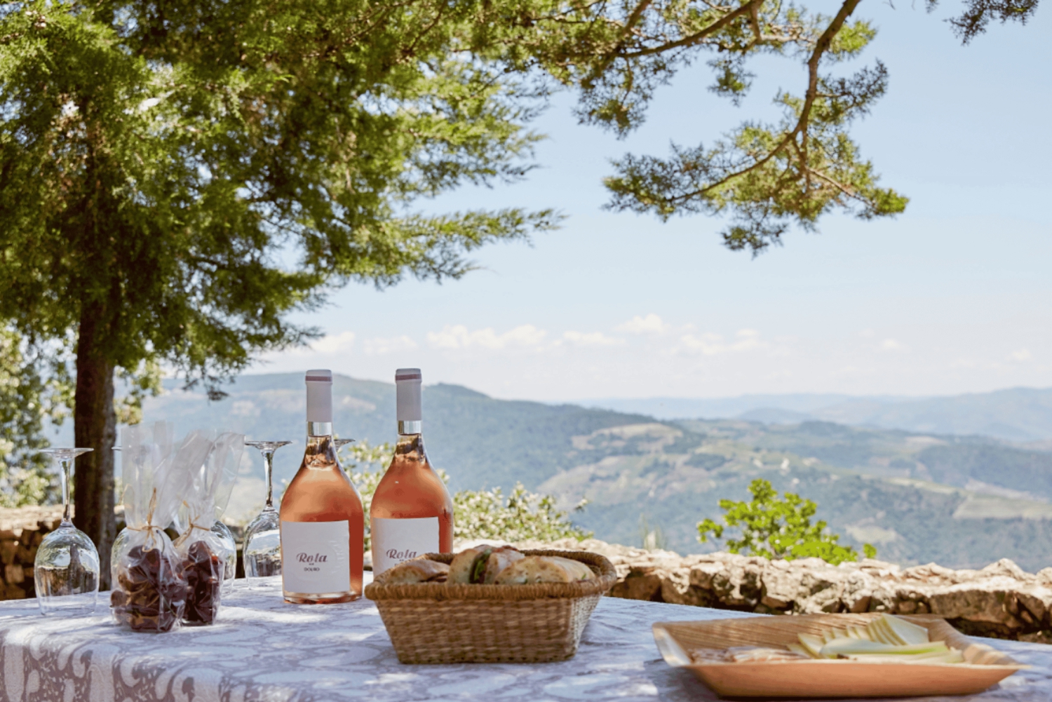 Privat Douro Valley 4WD-tur med vinprovning och picknick
