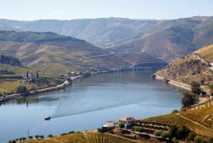 Visite privée de la vallée du Douro en 4x4 avec dégustation de vins et pique-nique