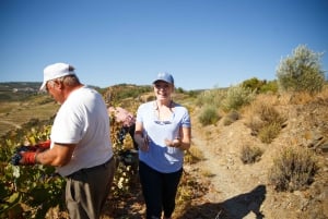 Visite privée de la vallée du Douro en 4x4 avec dégustation de vins et pique-nique