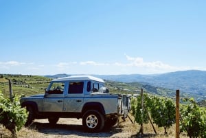 Visite privée de la vallée du Douro en 4x4 avec dégustation de vins et pique-nique