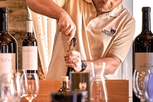 Privat Douro Valley 4WD-tur med vinprovning och picknick