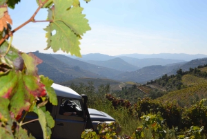 Privat Douro Valley 4WD-tur med vinprovning och picknick