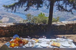 Privat Douro Valley 4WD-tur med vinprovning och picknick