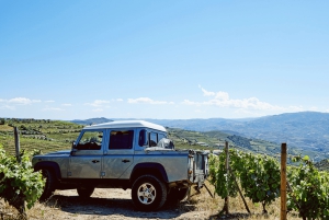 Privat Douro Valley 4WD-tur med vinprovning och picknick