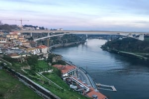 Tilpassbar heldagstur i Porto: Velg din egen opplevelse