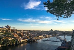 Tilpassbar heldagstur i Porto: Velg din egen opplevelse