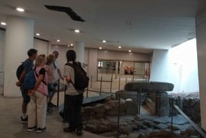 Yksityinen puolipäiväinen Bragan kaupunkikierros