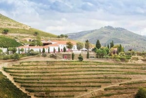 Частный роскошный винный и гастрономический тур в Дору