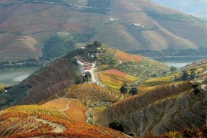 Private Luxury Wine & Foodtour in Douro