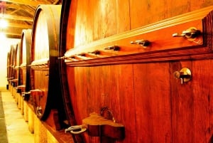 Private Luxury Wine & Foodtour in Douro