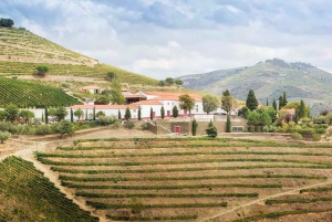 Private Luxury Wine & Foodtour in Douro