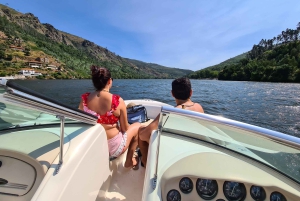 ドウロ川でのプライベートスピードボートツアー