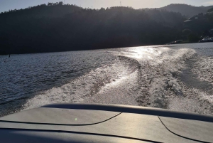 ドウロ川でのプライベートスピードボートツアー