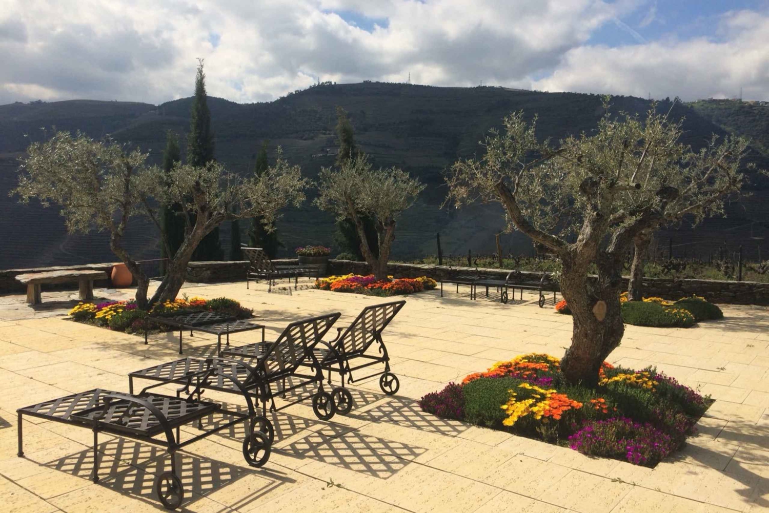 Private Tour: Douro Valley Wine and Food from Oporto