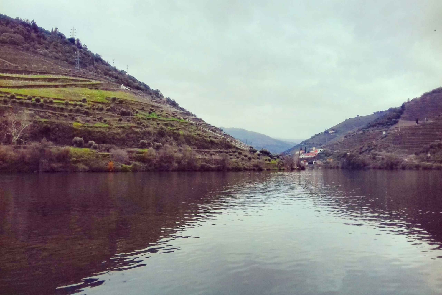 Private Tour: Douro Valley Wine and Food from Oporto